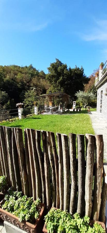 Collina E Mare Villa Camogli Eksteriør billede