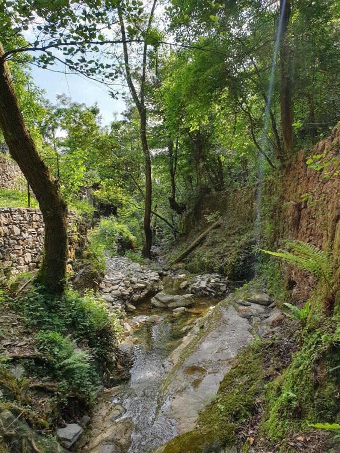 Collina E Mare Villa Camogli Eksteriør billede
