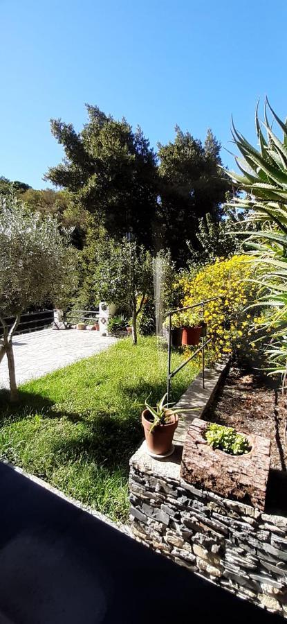 Collina E Mare Villa Camogli Eksteriør billede