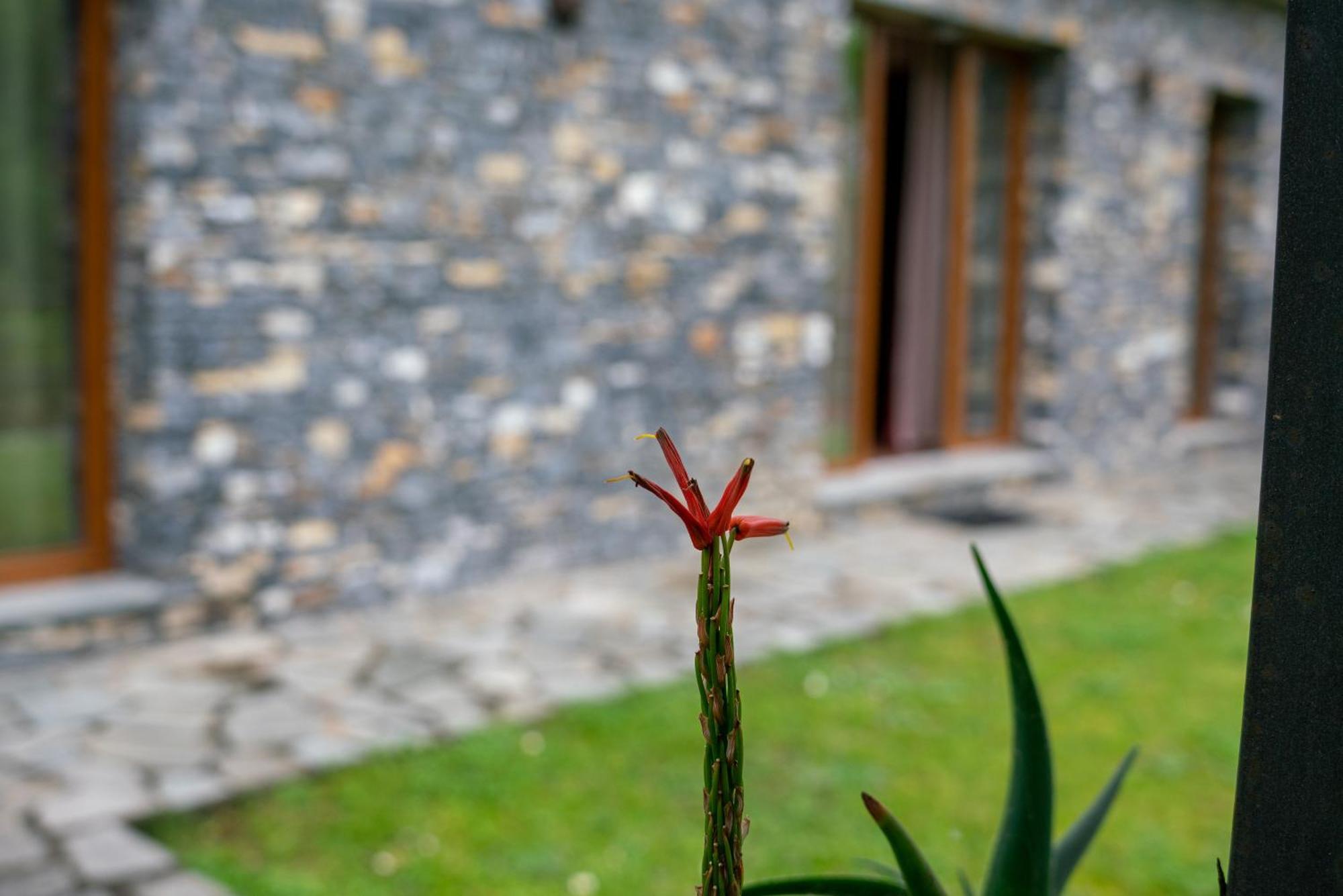 Collina E Mare Villa Camogli Eksteriør billede