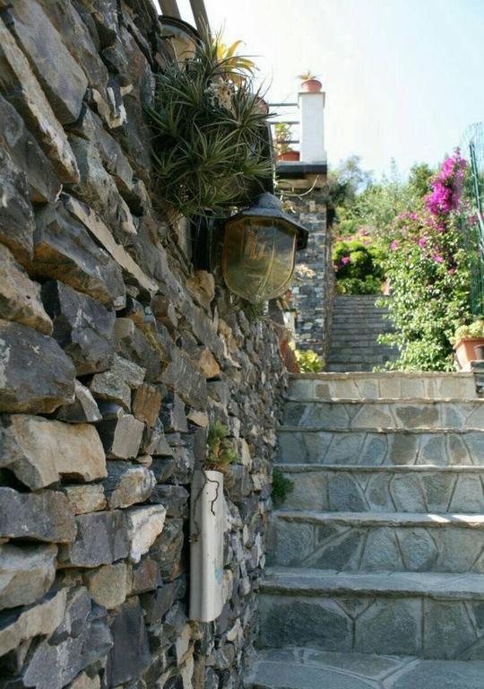 Collina E Mare Villa Camogli Eksteriør billede