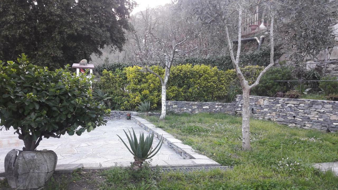 Collina E Mare Villa Camogli Eksteriør billede